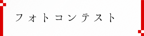 令和6年 第50回 高崎まつりは終了いたしました。